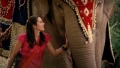 постер к сериалу Слон и принцесса